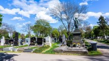 Bečko središnje groblje skriva tajnu: Tko su, uz Beethovena i Schuberta, njegovi živahni stanovnici?
