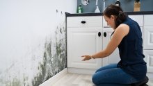 Ljetna vlaga prijeti? Evo kako se trajno riješiti plijesni, ali i zagušljivog zraka