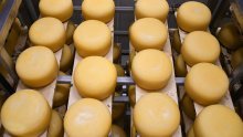 Poznati talijanski proizvođač sira zabrinuti zbog carina: Oko 40 posto proizvodnje odlazi u SAD