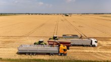 Žito grupa završila žetvu: Klimatske prilike sve su izazovnije