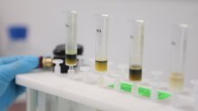 Hrvatske znanstvenice otkrile gene potencijalno osjetljive na toksične metale