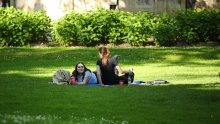 U Zagrebu završeno ozelenjavanje pet dvorišta
