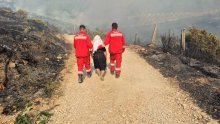 Albanija u plamenu: Zbog požara evakuirano 2000 ljudi, troje ozlijeđeno