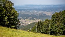 Park prirode Medvednica upozorio posjetitelje: Popularna staza pod opsadom stršljena