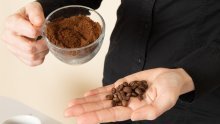Imate problema s komarcima? Ovo može biti vaše tajno oružje