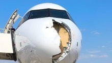 Šokantne fotografije: Pogledajte kako izgleda avion nakon sudara s pticom