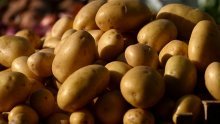 Novo otkriće o krumpirima rastužit će mnoge: Ovo je i znanstvenike iznenadilo