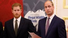 Ovo je pravi razlog zbog kojeg William i Harry neće naslijediti dom njihove majke