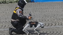 Robotski pas pretrpanog rasporeda: Waldog razgovara o pravima životinja