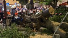 U središtu Krka srušilo se ogromno stablo: Samo srećom nitko nije nastradao