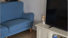 Njemački gosti dva tjedna mu proveli u kući, iznajmljivač se šokirao pa objavio video