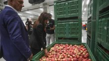 Osječki Distribucijski centar za voće i povrće radi punom parom: 18 ugovora s proizvođačima