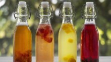Je li kombucha uopće zdrava: Ogroman je hit, ali stručnjaci pozivaju na oprez