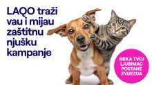 Tko će biti glavne njuške u gradu: LAQO traži nove zvijezde za kampanju osiguranja kućnih ljubimaca