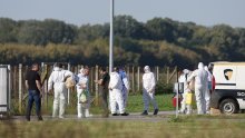 Novi slučajevi afričke svinjske kuge u Slavoniji