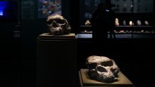Pronađena ljudska lubanja stara milijun godina: Ovo mijenja povijest evolucije