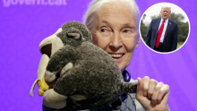 Bila je genijalna: Pogledajte što je Jane Goodall jednom prilikom rekla o Donaldu Trumpu
