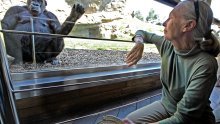 Kako je Jane Goodall zauvijek promijenila način na koji promatramo prirodu, ali i same sebe