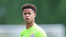 Problemi u Maksimiru! Belinho skinut s popisa putnika za London, evo što se događa
