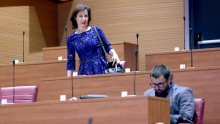 Orešković: Sabor je postao pokretna traka za listu Plenkovićevih želja