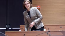 Pupovac i Puljak: Napad na književnika Pavičića napad je na slobodu mišljenja