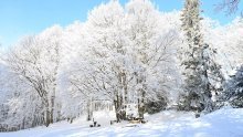 DHMZ objavio prognozu za zimu: Otkrili kakve će biti temperature i kada će biti najviše oborina