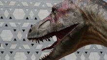 Paleontolozi u Boliviji pronašli rekordan broj tragova stopala dinosaura
