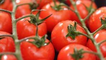 Povlače se cherry rajčice, imaju povišenu razinu pesticida