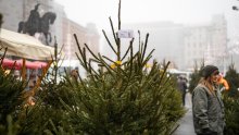 U centru Zagreba prodaju se božićna drvca, iza svega stoji humani motiv