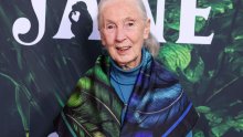 U čast Jane Goodall: Nagrada za inicijative koje spašavaju život na Zemlji