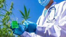 Mnogi vjeruju u ljekovitost kanabisa. Evo što je od toga istina