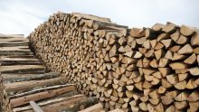 Hrvatske šume korigirale cijene svih drvnih sortimenta, evo za koliko