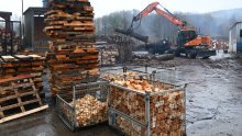 Stižu im milijarde eura prihoda, a potencijala ima još: Drvnoj industriji potreban poticaj