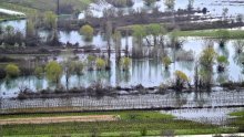 Poplave u okolici Vrgorca: Obilne kiše aktivirale podzemne rijeke
