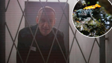 Što je žablji otrov kojim je ubijen Navaljni? Jači je 200 puta od morfija, a evo kako djeluje na tijelo