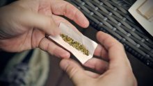 Marihuana apsolutno dominantna droga u Hrvatskoj