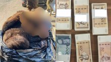 FOTO Carinici kod Srba pronašli hrpu gotovine i kožu mrkog medvjeda