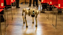 Cyberpunk u pravom životu: Data centrima sve češće patroliraju – robotski psi