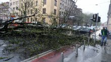 Jak vjetar čupa stabla diljem Zagreba: Zeleni val u blokadi, uništeni auti