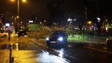 Prekinut promet ključnom zagrebačkom arterijom: Vjetar srušio još jedno stablo