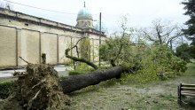 FOTO Olujni vjetar nije poštedio ni Mirogoj: Srušena i stoljetna stabla