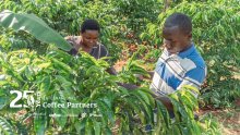 International Coffee Partners: 25 godina podrške obiteljima i zajednicama koje se bave uzgojem kave