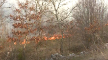 Vatrena stihija kod Barbana: Požar lokaliziran, javili se vatrogasci