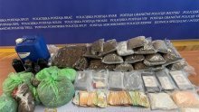 Policija uhvatila 28-godišnjeg dilera: Uz raznu drogu, imao je i ručnu bombu