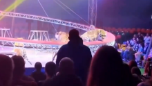 VIDEO Dramatične snimke iz Rusije: Tigar u cirkusu skočio među gledatelje