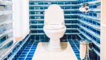 Treba li poklopac WC školjke uvijek biti spušten? Stručnjaci su dali jasan odgovor
