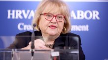 Mrak Taritaš: 'Dabro se pretvorio u klasičnog skupljača pozornosti na krivim temama'