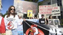Siščani ne odustaju od borbe protiv megafarmi i klaonice: Nije gotovo dok nije gotovo