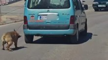 Policija reagirala nakon dojava: Uhićen vozač koji je vukao psa uz vozilo