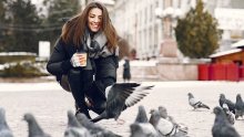 Neobično ponašanje ptica u gradovima zbunjuje znanstvenike